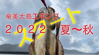 【夏エギング】奄美大島！夏エギング2022開幕！！