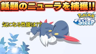 ニューラさん！仲間になってえええええ！！【ポケモンスリープ】