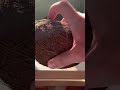 Grow Coconut Tree From Seed!   5 Years Time Lapse # shorts