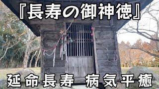 健康と長生きを授かる神聖な祈り※延命長寿・病気平癒の神秘。古来より「長生きを願うなら多賀神社に参れ」 と言われるほど、健康と長寿のご利益が強い神社【オンライン参拝】東北宮城県多賀城市市川六月坂多賀神社