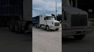 SELLY IN THE HOUSE #TRUCKERS #TRUCKING #TRUCKS #JAMAICA #SEMI