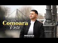 Fernando din Bărbulești - Tu Ești Comoara Vieții [ Videoclip Oficial ]