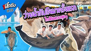 ครั้งแรก!! ว่ายน้ำกับโลมา pattayadolphinarium  | เปิดซิง EP22