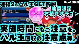 【モンスト】実施時間等ハル玉GETの注意点も！「期間限定エリアクエスト・お花見オラゴン」運枠2【KIYOのゆっくり解説実況】