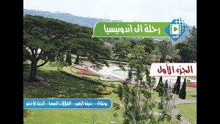 رحلة الى اندونيسيا - بونشاك ( الجزء الاول )