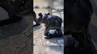 Elephant🐘🐘🐘                           Keshana Black Stone carving center Mob-8949839266