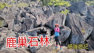 細強遊記:鹿巢石林