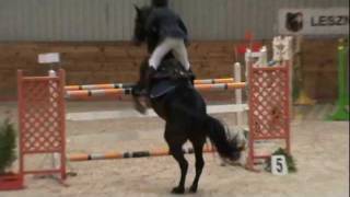 Andrzej G,skoki konne,Horse jumper class, 298