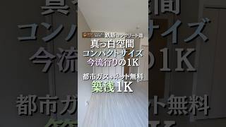 真っ白空間のコンパクト1K #札幌不動産  #物件紹介 #物件情報 #札幌賃貸情報 #お洒落物件  #札幌賃貸 #不動産 #札幌物件紹介 #賃貸 #賃貸紹介 #デザイナーズ #賃貸情報