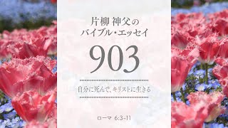 バイブル・エッセイ 903 『自分に死んで、キリストに生きる』（聖書朗読とミサ説教：片柳弘史神父）