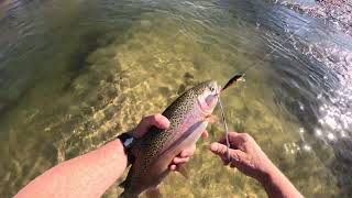 10.21.23 Seg. 2 - Big, Jumping Rainbow Trout on the Line in Montana!