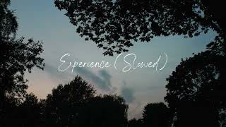 Experience (Slowed) - Ludovico Einaudi