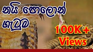 නයි පොලොන් ගැටුම.  Snake catcher  Ampara Buddngala