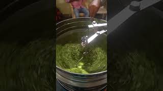 முருங்கை இலையை வறுத்து பொடியாக்கும் இயந்திரம் || Moringa Powder Mechanism In Tamil