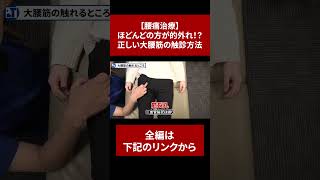 【腰痛治療】ほどんどの方が的外れ！？正しい大腰筋の触診方法【切り抜き】