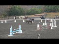 第60回関東学生馬術女子競技大会　関東学生馬術女子競技大会　1年　冨田木乃香　桜真