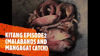 KITANG ILOG EPISODE2 (MALABANOS AND MANGAGAT CATCH)