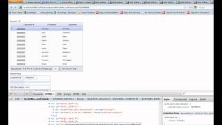 V11 Advanced Client-Side Show/Hide Expressions - Calling a User Defined Javascript Function 1