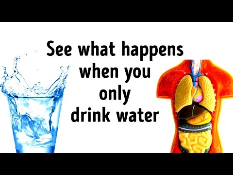What Would Happen If You Replace All Drinks with Water? What Would Happen If You Replace All Drinks with Water?