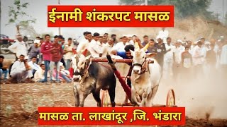 पट बैलगाडा शर्यत | Shankar pat 2025 | Lakhandur Bhandara | Bhandara Shankar pat | bailgada sharyat