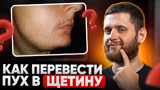 Как быстрее перевести ПУШОК в полноценную ЩЕТИНУ