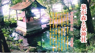 泉が森と泉神社