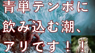 青単テンポに「飲み込む潮」2枚挿したらさらにテンポ取れるようになりました！　これいいかもです！！