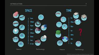 34C3 - Free Electron Lasers - Subtítulos en Español