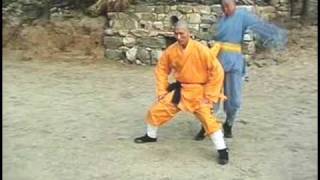 Shaolin Kung Fu: Iron Testicles