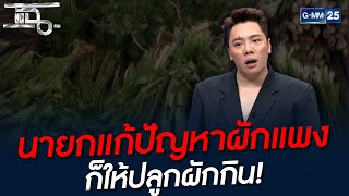 นายกแก้ปัญหาผักแพง ก็ให้ปลูกผักกิน! | HIGHLIGHT | แฉ 5 พ.ย. 64 | GMM25