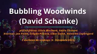 Bubbling Woodwinds (David Schanke) - S dechnou do synkopy (4. listopadu 2023)