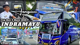 TRIP NOTR INDRAMAYU 9 MARET ‼️ KONVOY GAYA BEBAS #bus #busmania