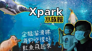 Xpark水族館 | 桃園景點 8/7開幕亮點搶先看 海豹魟魚水豚還有「Xcafe」企鵝陪你吃飯