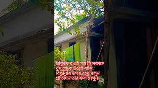 সকালে উঠেই বাসি বিছানার উপর বসে এই শ্রীকৃষ্ণের মন্ত জপ করুন #motivationaltalks #panchnama #srikrishn