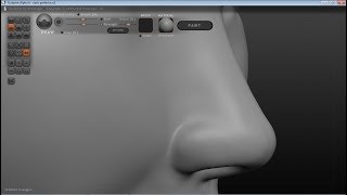 Software Modelos de Nariz 3D - Rinoplastia - Nariz tridimensional - Impresora 3D