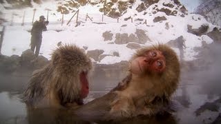 GoPro: Snow Monkey Hot Tub