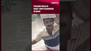 Bihar Floods | Slippers In Hand And Notebook On Head, Teachers Walk In Waist-Deep Floodwater