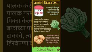 🐜 साखर मुंग्यांपासून वाचवण्यासाठी हे करा! Zatpat Marathi Tips | Kitchen Tips in Marathi