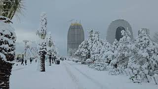 Батуми завалило снегом. Batumi snow 🌬❄️🇬🇪