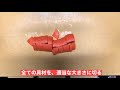 【ホットクック】 基本のファイトケミカルスープ（ファイトケミカルスープ）