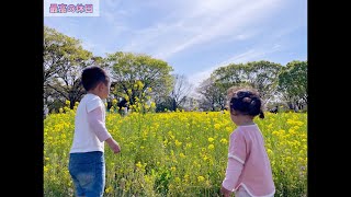 【最高の休日】桜、チューリップ、菜の花と色々みられる昭和記念公園✨