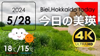 今日のびえい！【拡大版】北海道-美瑛町の風景を毎日発信中｜2024.5.28.