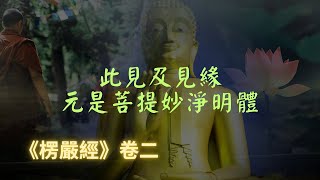 【楞嚴經】見與見緣，并所想相，如虛空華，本無所有，此見及緣，元是菩提妙淨明體｜楞嚴經｜宣化上人｜佛子