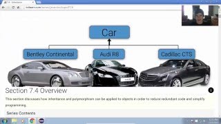 Inheritance & Polymorphism in Java (7.4)