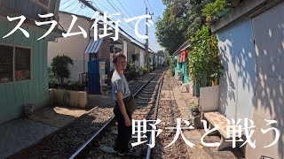 【日常vlog】スラム街で野犬に襲われる男達… inバンコク