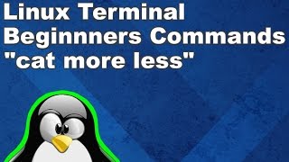 Linux Terminal for Beginners Commands 4: cat, more, and less