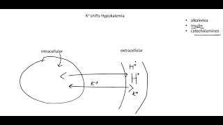 Potassium, Hypokalemia, Hyperkalemia and transcellular shifts