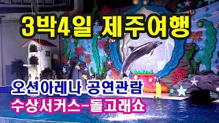 아쿠아플라넷제주-오션아레나 공연관람