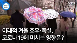 이례적 겨울 호우·폭설, 코로나19에 미치는 영향은? / YTN 사이언스