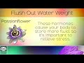 how to flush out water weight